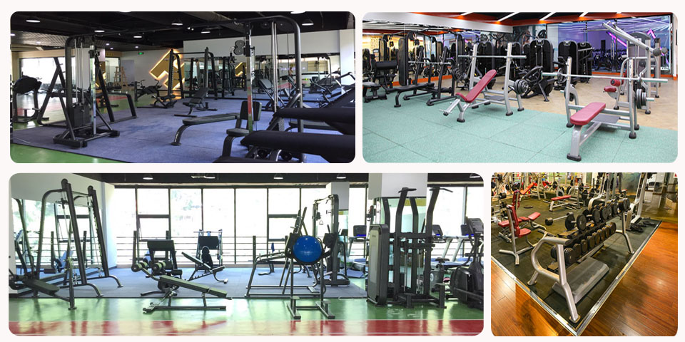 bsports官网自由力量器械