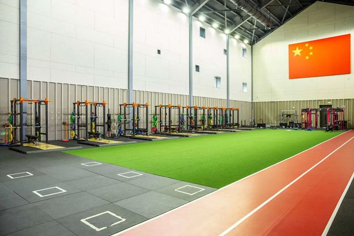 体能训练解决方案-广西bsports官网体育