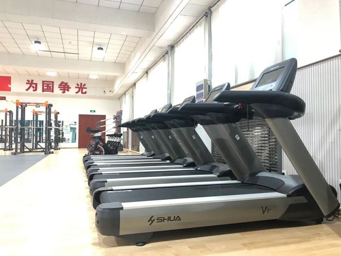 体能训练解决方案-广西bsports官网体育